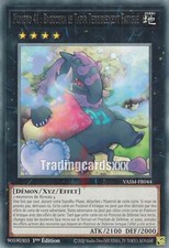 Yu-Gi-Oh! Numéro 41 