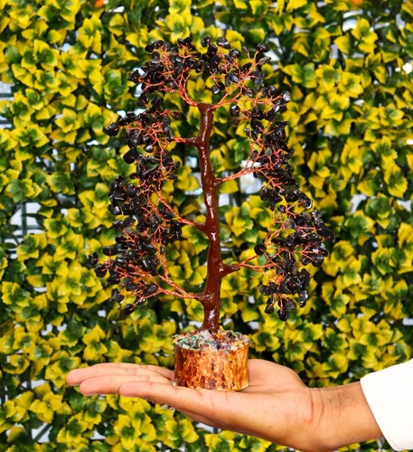 Albero tormalina nera in - albero, di