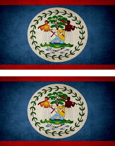 Sticker adesivi adesivo - 2x,
