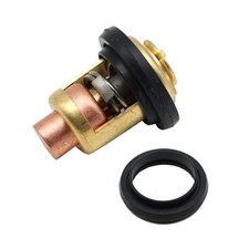 Termostato 143F per Johnson