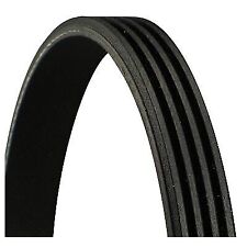 CONTITECH 4PK560 Kit cinghia di distribuzione