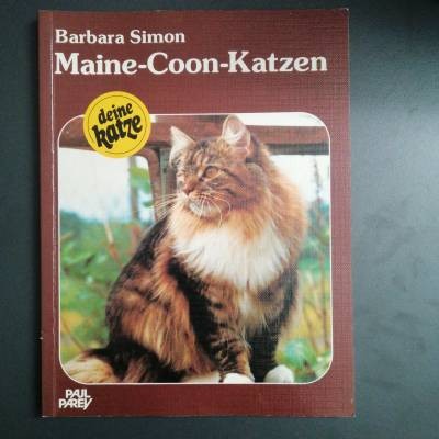 Maine coon guida barbara - maine, coon: