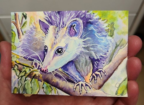 Quadro originale aceo quercia - quadro,