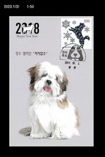 Carta massima cane, cucciolo