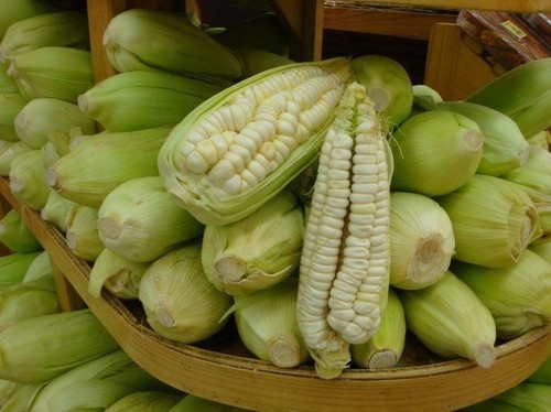 Mais chulpe peruviano - mais,