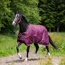 Horse Guard Turnout Coperta da