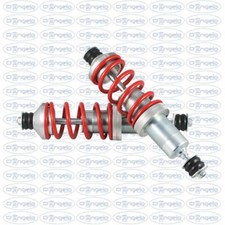 Coppia di ammortizzatori