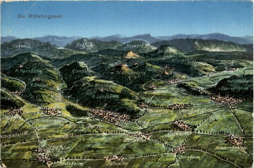 Vosgi medi 239182 - vosgi, -239182
