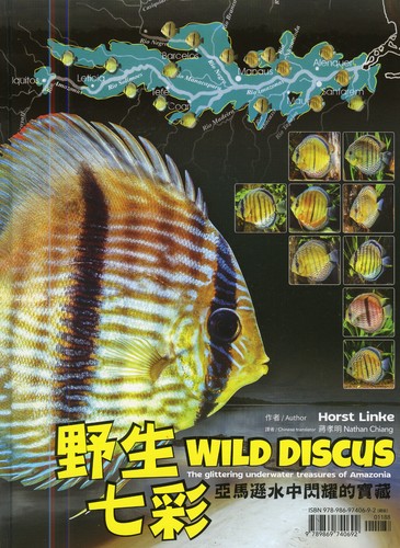 Wild discus the glittering - wild,