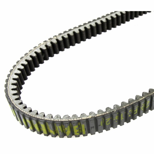Malossi m6115687 cinghia k - malossi,