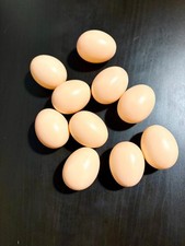 10 Uova Finte per Galline Uova