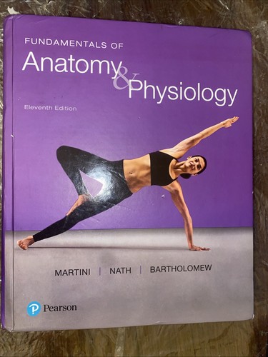 Fundamentals anatomy and - of,