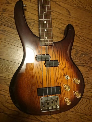 Washburn - ,