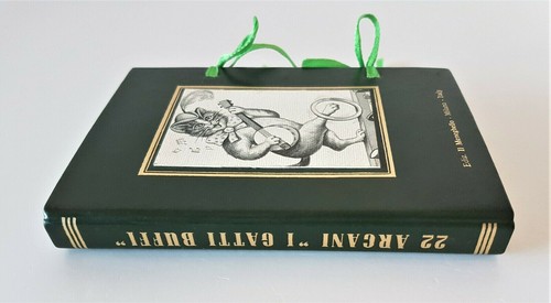 Arcani gatti buffi - 22,