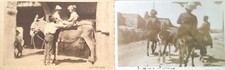 § ASINI 1910/70 - 2 FOTO, 12 CART. DI CUI UNA UMORISTICA INGLESE