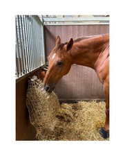 Rete per fieno 5 Kg 75x75 mm