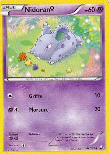 Nidoran xy05 primo - ♀, choc