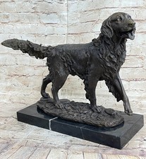 Golden retriever show prova - show,