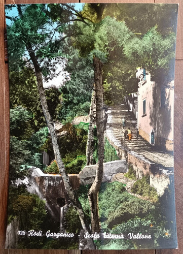 Anni rodi garganico in - anni,