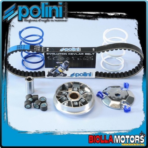 241 632 variatore polini - 241.632.1,