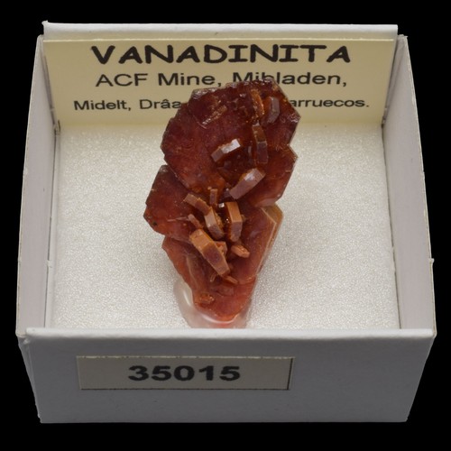 Vanadinita acf mine - vanadinita,