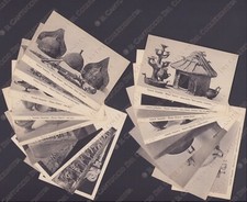 CORNETO TARQUINIA Museo Etrusco bronzi vasi sarcofago Viterbo LOTTO 18 Cartoline