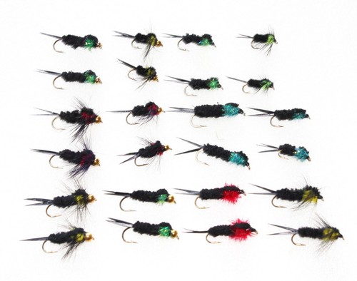 Montana stonefly ninfe - x,