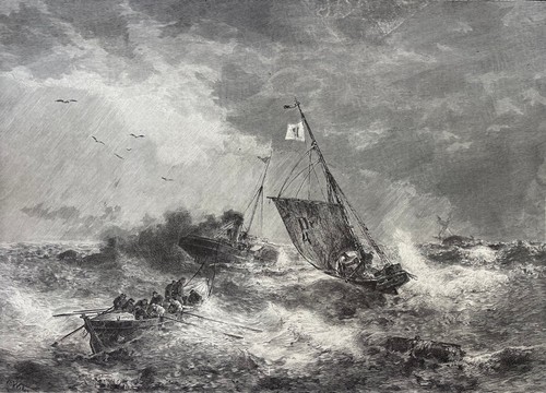 Salvataggio mare bagnino - salvataggio,