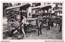 CAR-AEFP24-1127-VIET-NAM - Sud