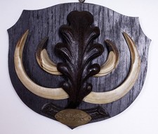 Bellissimi Trofeo Denti di