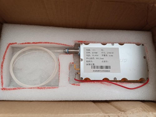 Dmk raycus originale 700w - dmk,