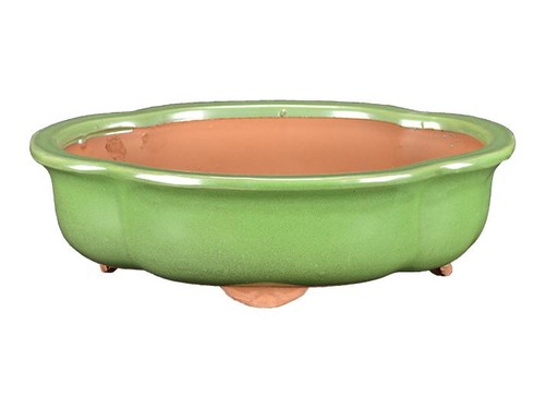 Vaso per bonsai - ovale, (forma