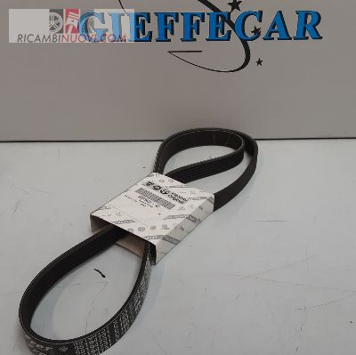 Cinghia trasmissione poly - cinghia,