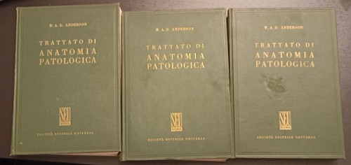 Trattato anatomia - trattato, di