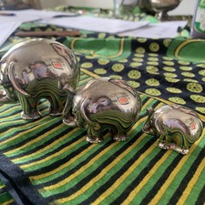 Famiglia Di Elefanti