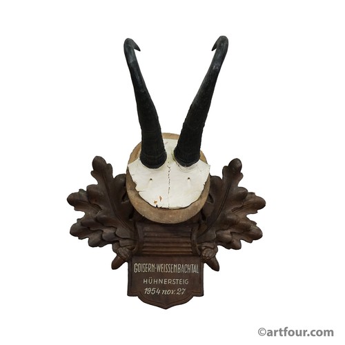 Grande trofeo camoscio - , su