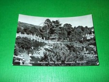 Cartolina Albisola Superiore - Particolare Villa Gavotti 1959