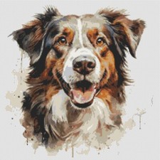 Pastore australiano cucciolo