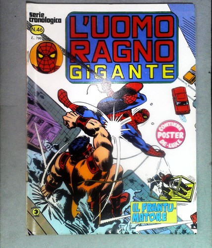 Uomo ragno gigante - ragno,