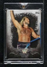 2016 Topps WWE Undisputed