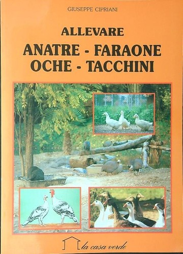 Allevare anatre faraone - allevare,