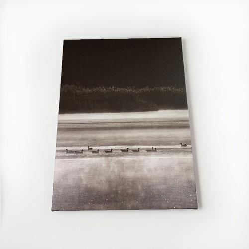 Quadro ikea con cornice 12 - quadro,