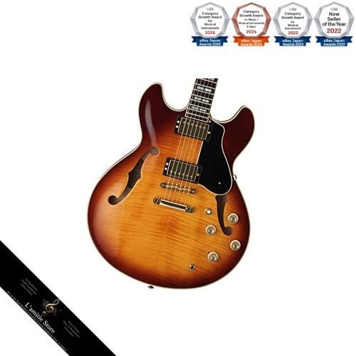 Chitarra elettrica