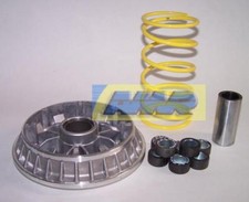 VARIATORE MALOSSI MULTIVAR