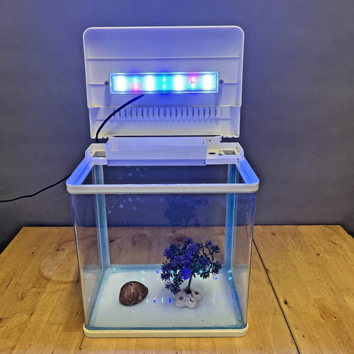 Acquario nobleza - nobleza, (nano)