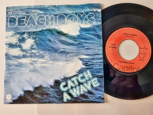 The beach boys catch a - -,