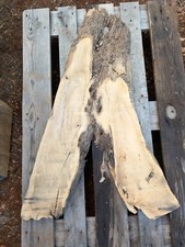 legno-wood di ulivo/olivo