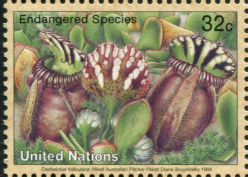 New york mi709 mnh - un,
