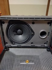 BOSE 101 Coppia Altoparlanti