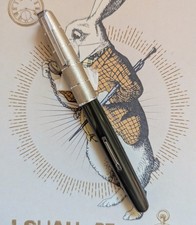 Penna stilografica Waterman